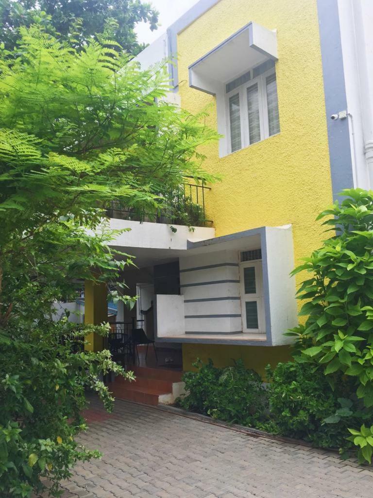 Bed & Breakfast Pristine Homestay