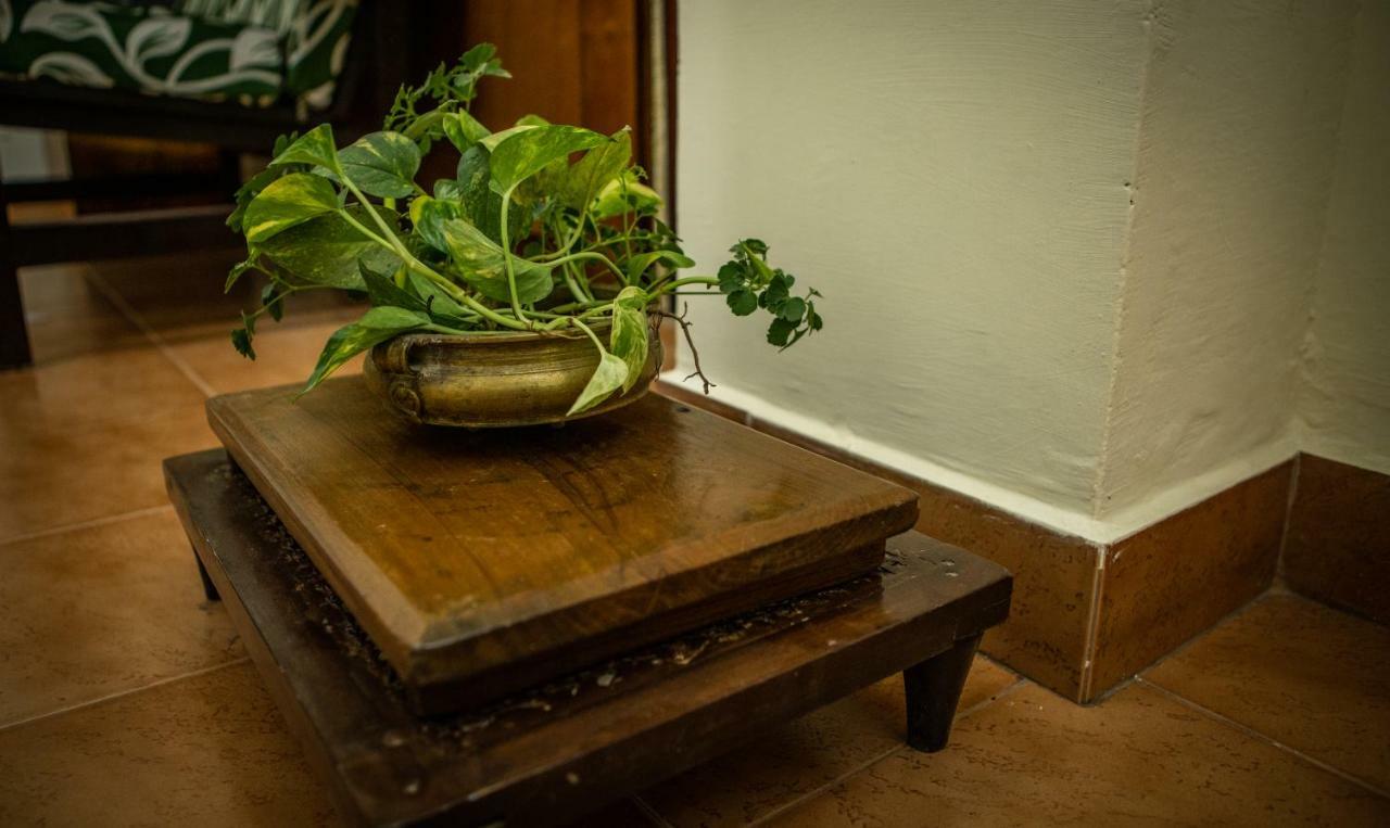 Pristine Homestay * Chennai